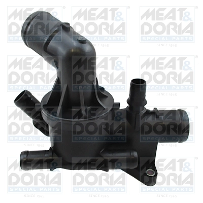 Thermostat, coolant